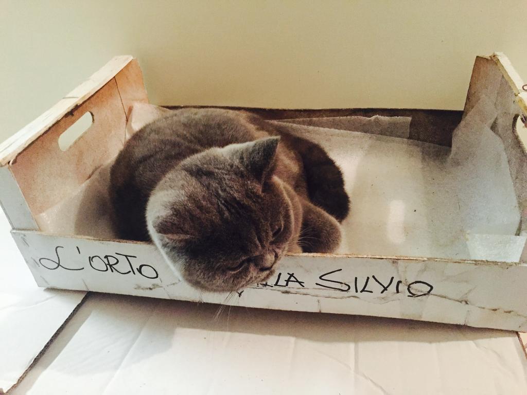 Villa Silvio Civitanova Alta Quarto foto