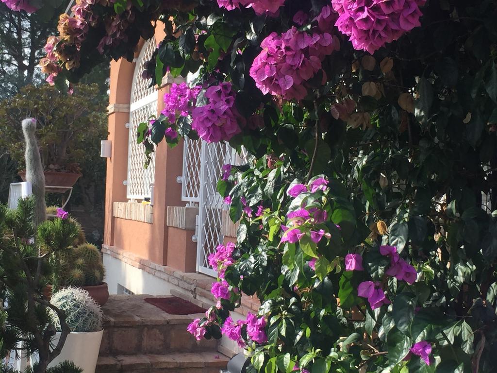 Villa Silvio Civitanova Alta Quarto foto